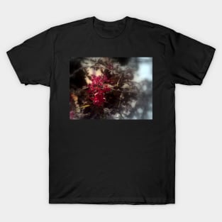 red Malus 'Radiant'  crab apple blossoms #2, focal black & white T-Shirt